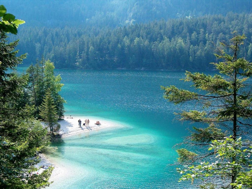 Pisolo *