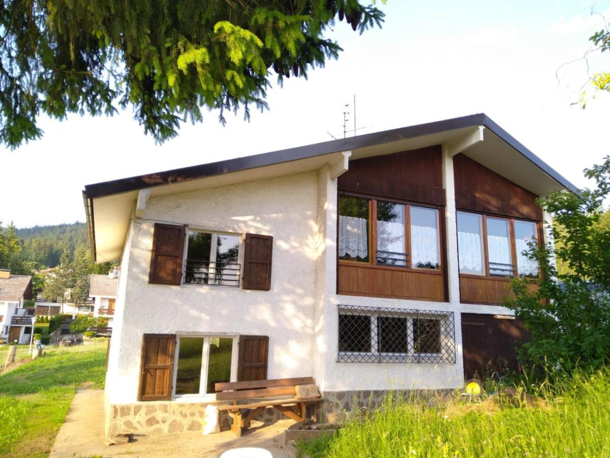 Apartment Pisolo Ronzone